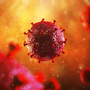 Meet your Posher, Aidrianne